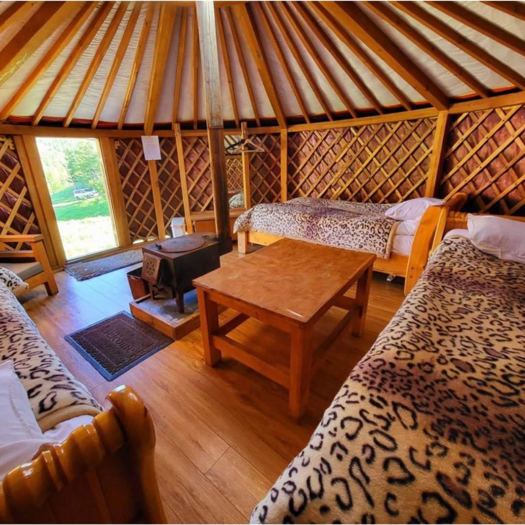 Accommodation (Gers/Yurts)