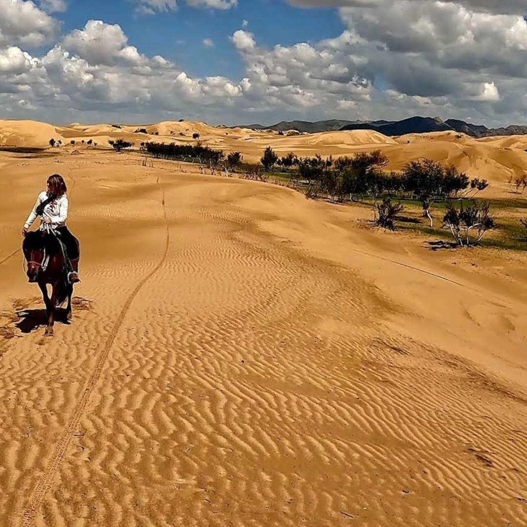 Nature of Central Mongolia